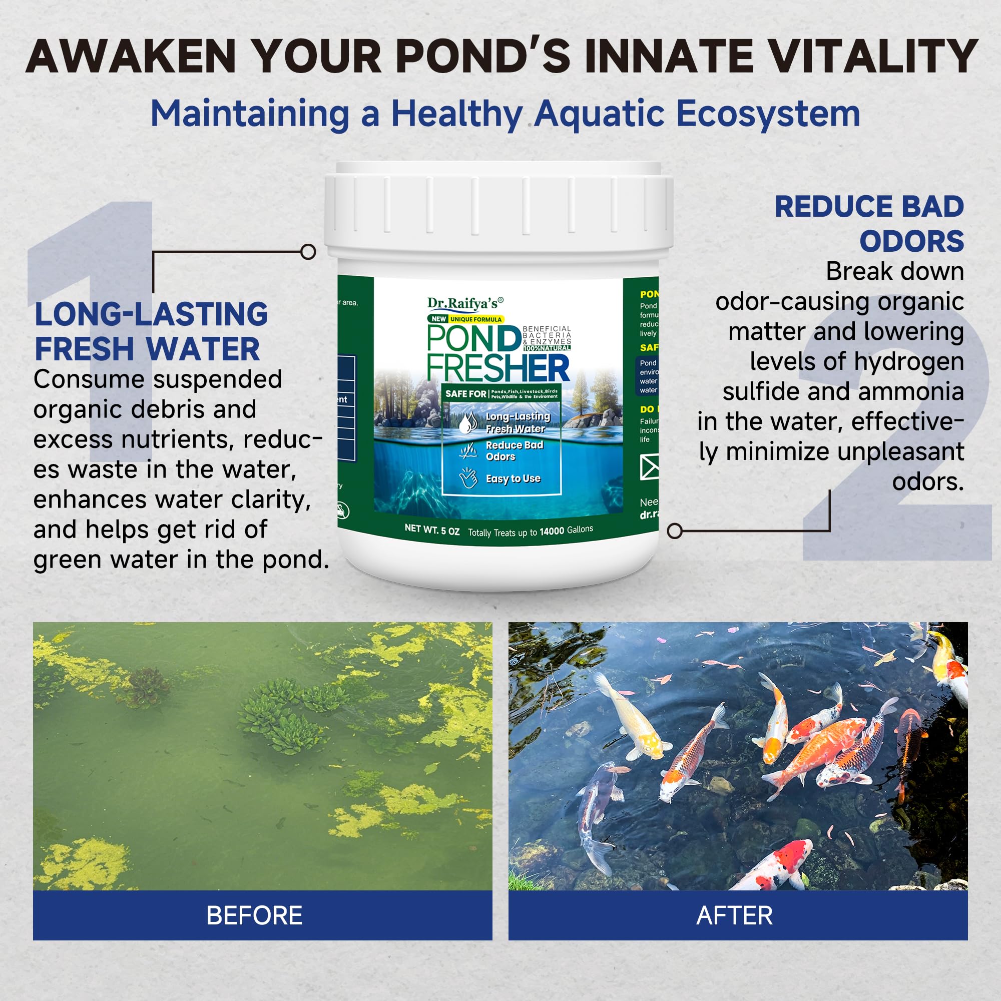 Close-up of Dr.Raifya's Pond Fresher pellets