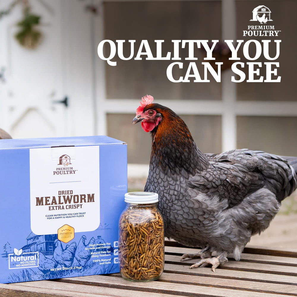 Close-up of dried mealworms in Premium Poultry packaging