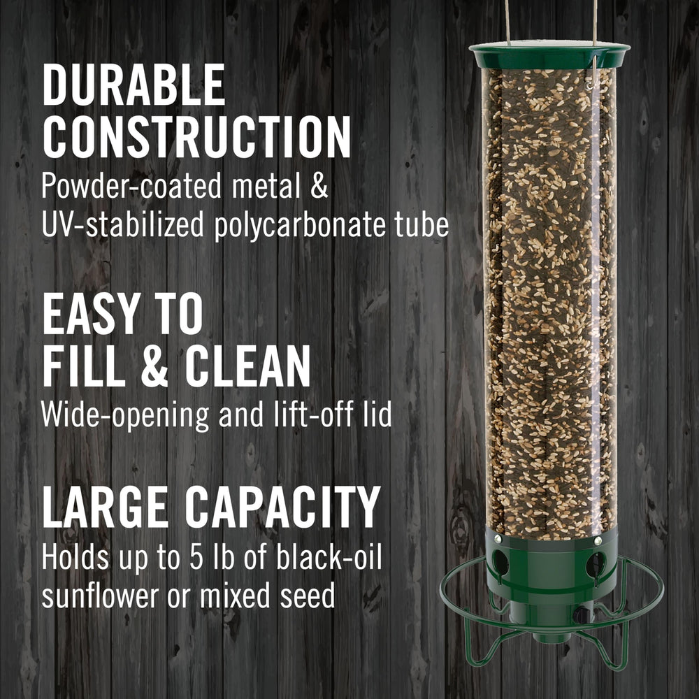Close-up of Droll Yankees feeder showing weight-activated perch mechanism