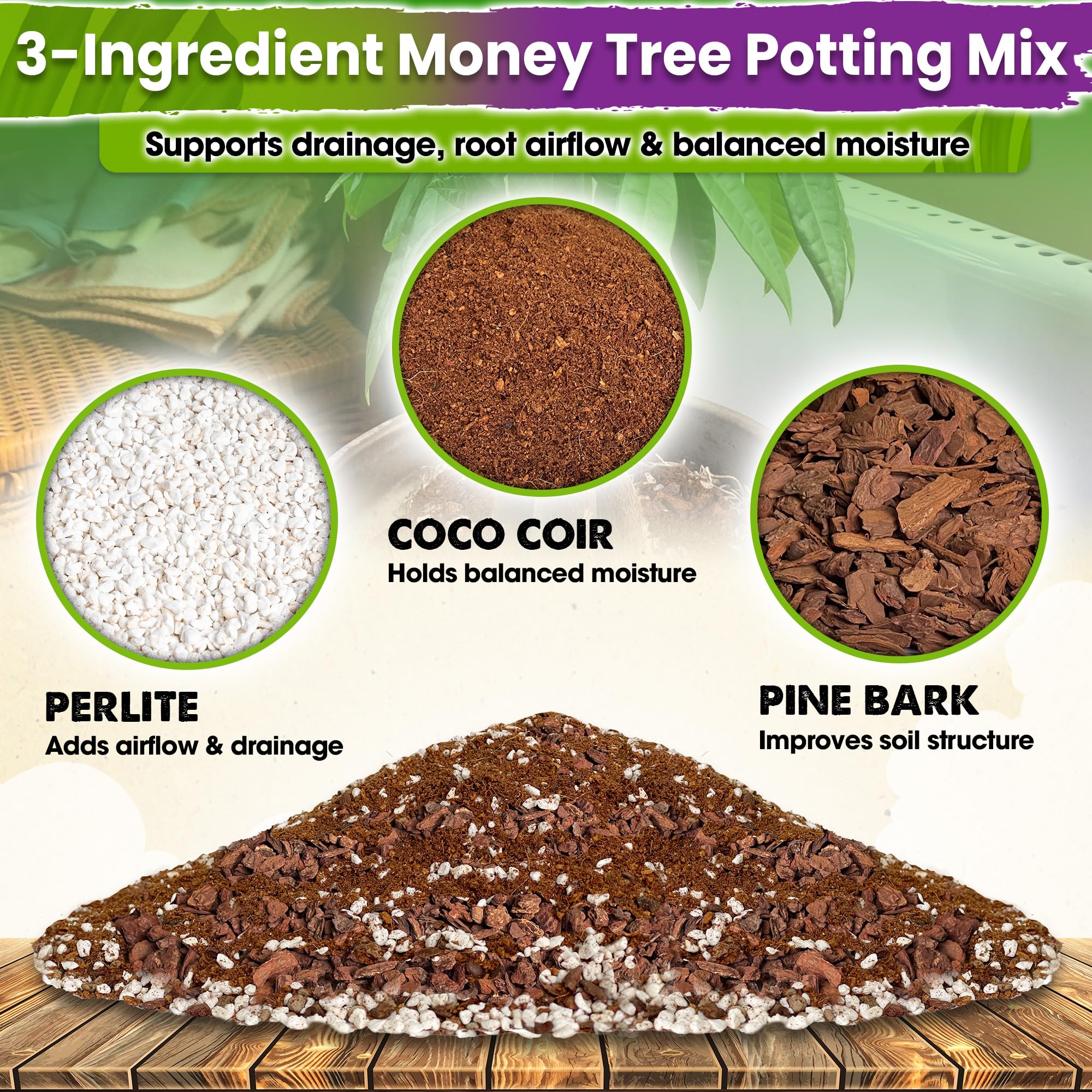 Close-up of Duspro Money Tree Soil texture
