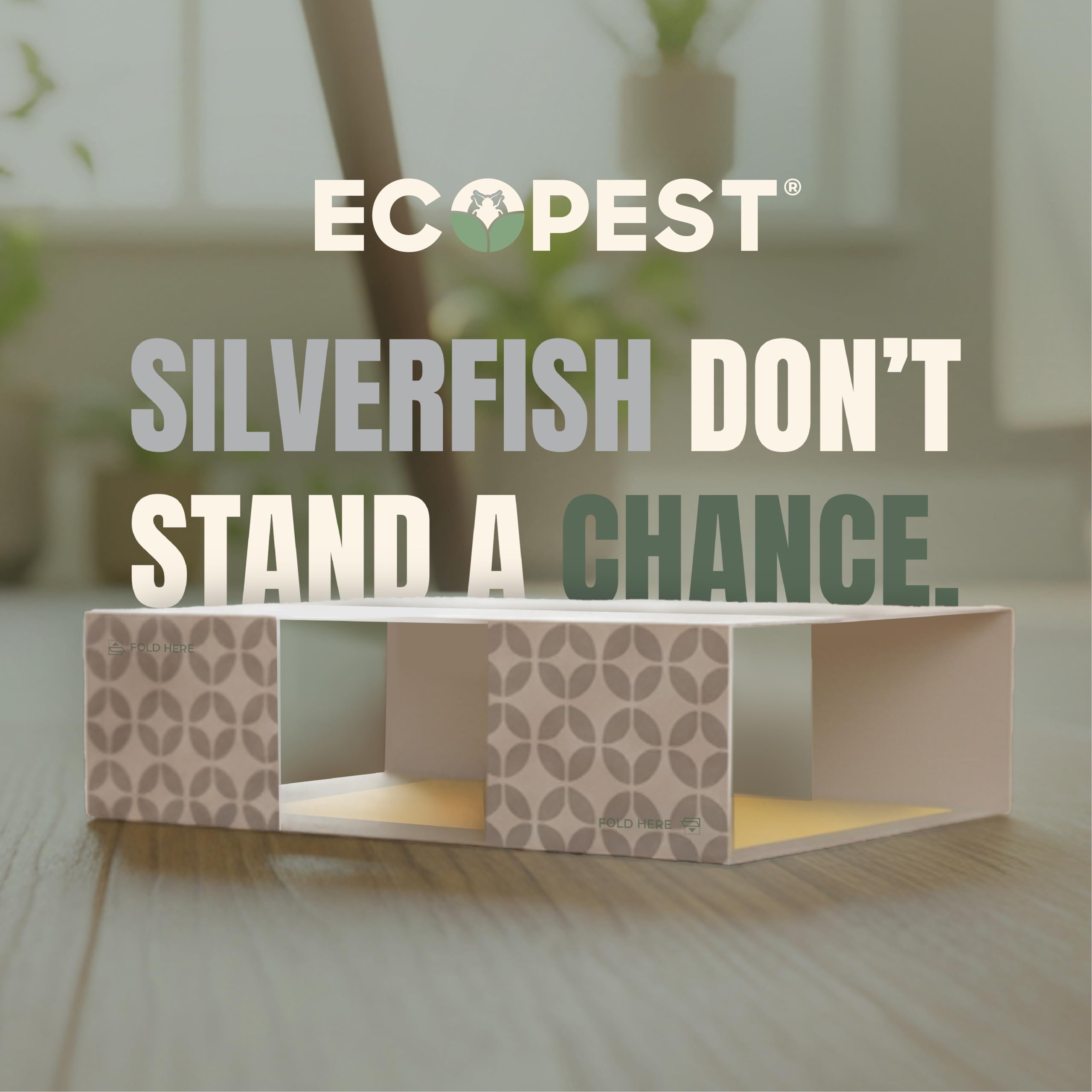 Close-up of ECOPEST Silverfish Trap with natural bait attractant