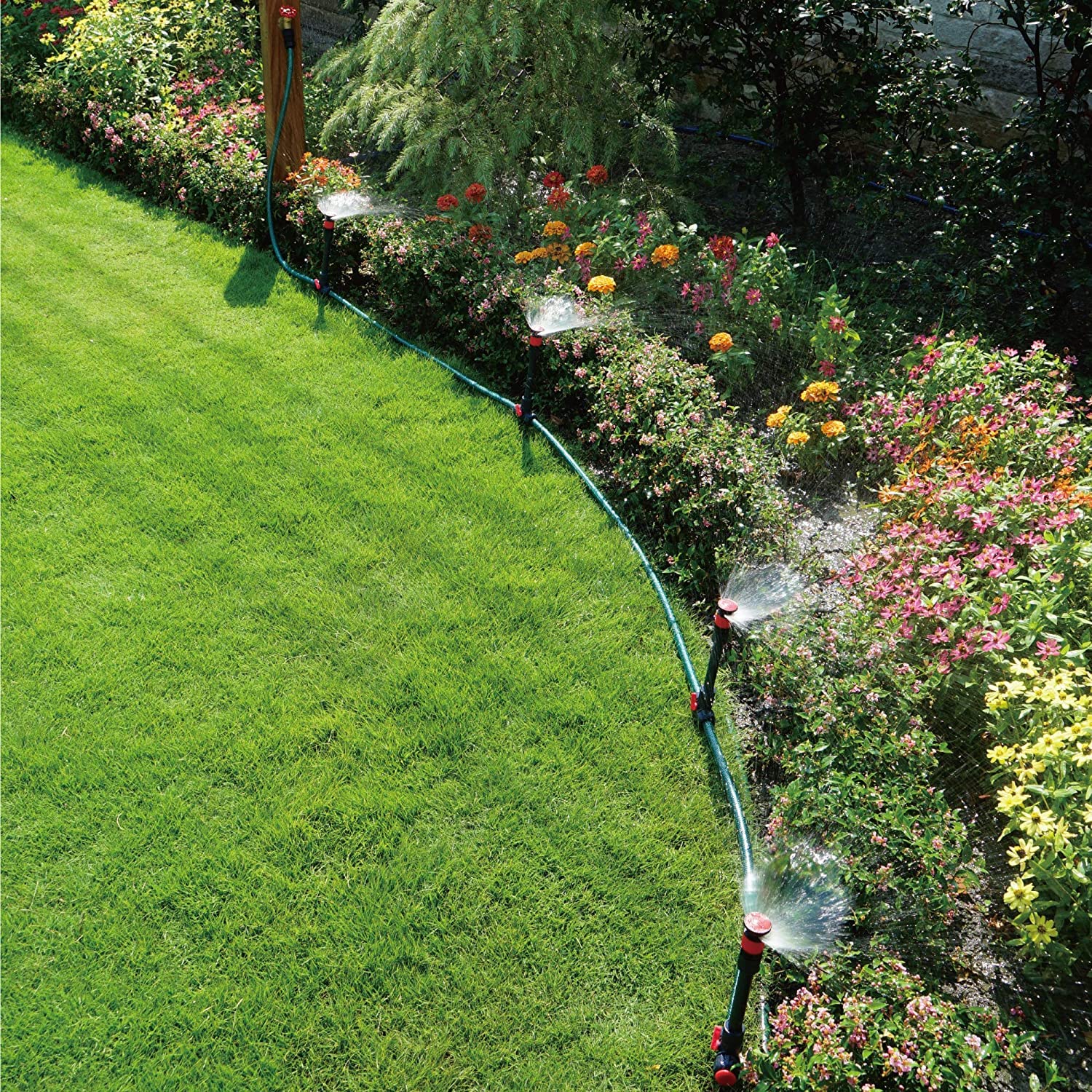 Close-up of Eden adjustable sprinkler head with spray angle adjustment