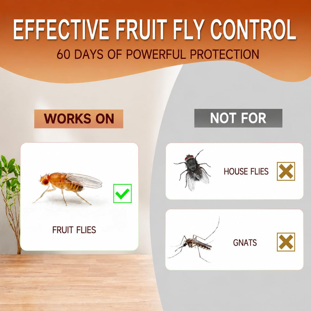 Close-up of ELEGENZO Fruit Fly Trap bait