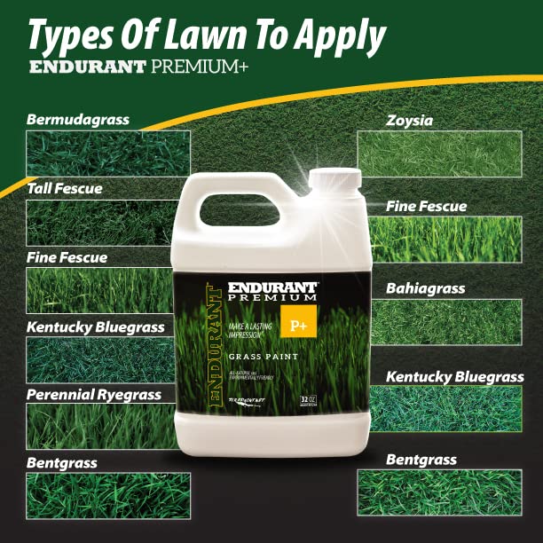 Close-up of Endurant Turf Colorants green grass paint texture