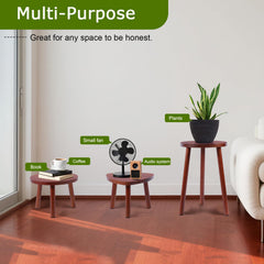 Close-up of Eocogup Plant Stand circular board design