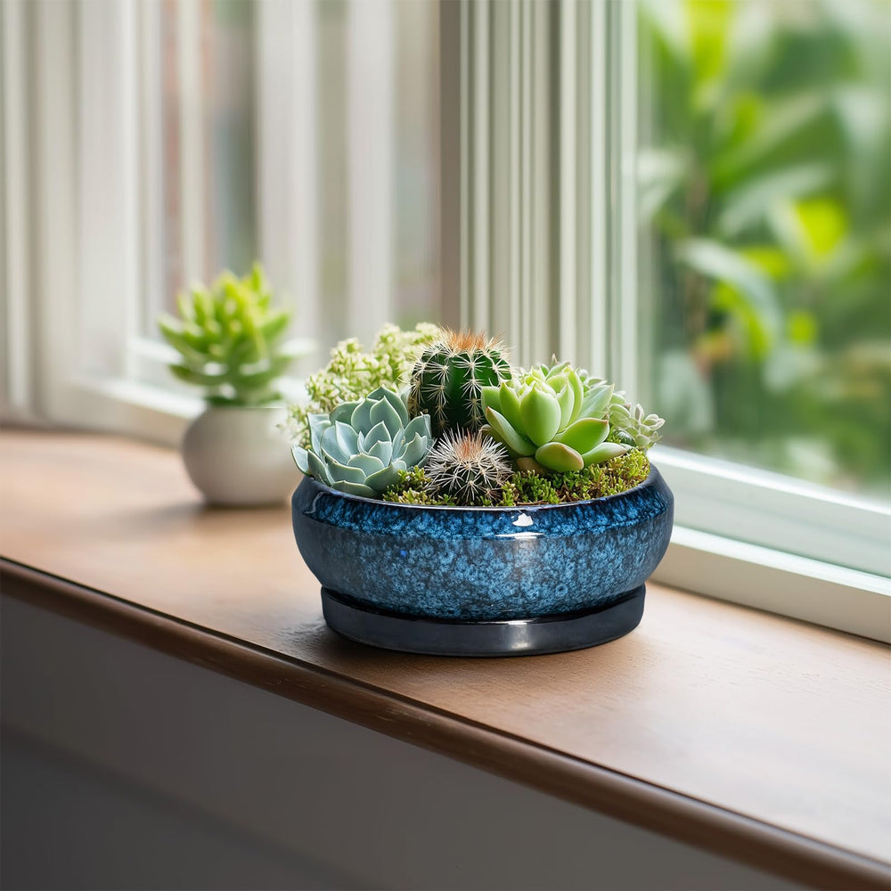 Close-up of EPFamily 6 Inch Ceramic Succulent Pot drainage hole