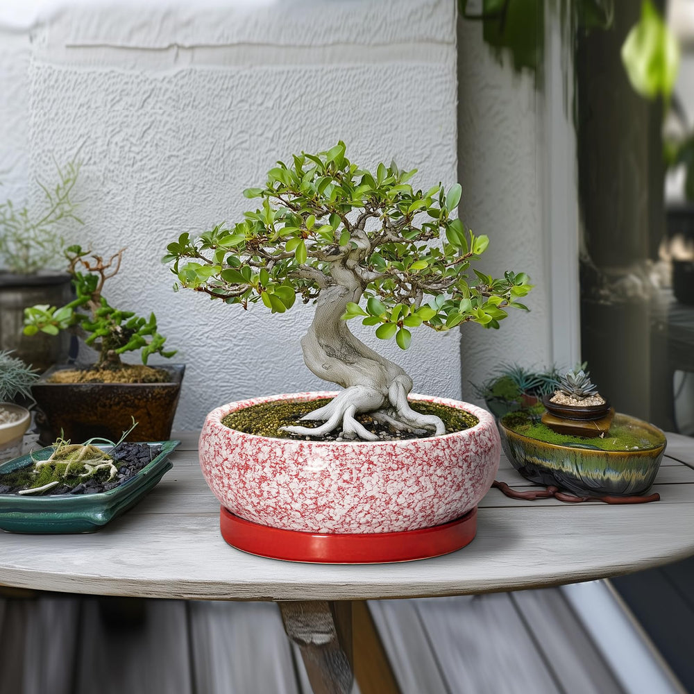 Close-up of EPFamily Bonsai Pot drainage hole