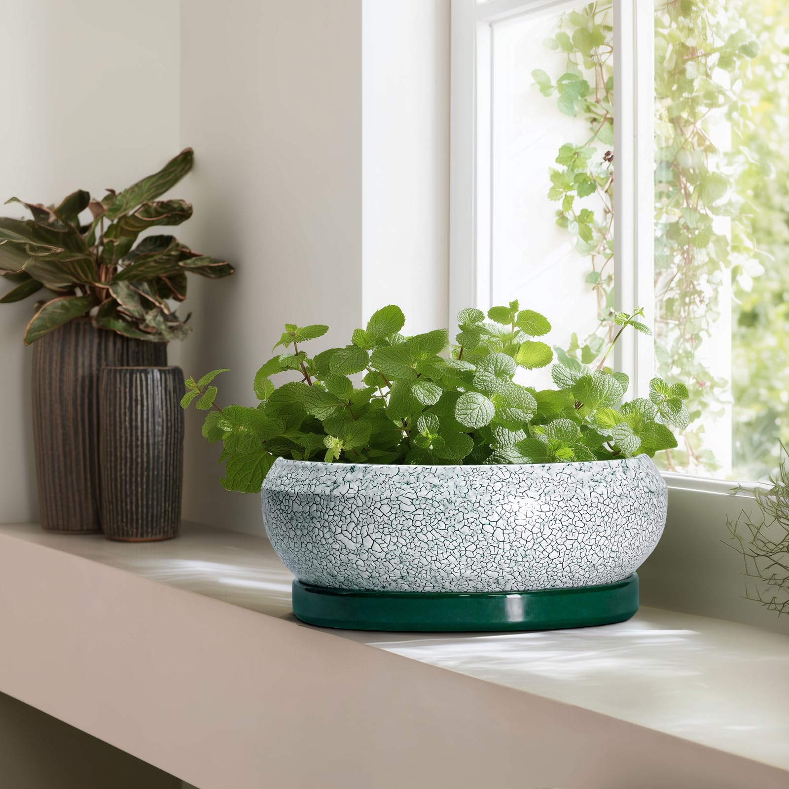 Close-up of EPFamily bonsai pot's textured ceramic surface