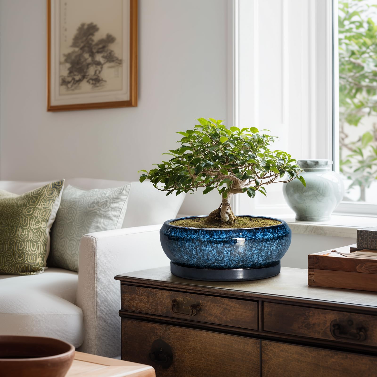 Close-up of EPFamily Bonsai Tree Pot's glazed surface