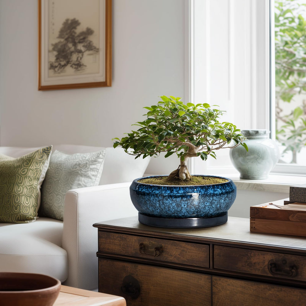 Close-up of EPFamily Bonsai Tree Pot's glazed surface