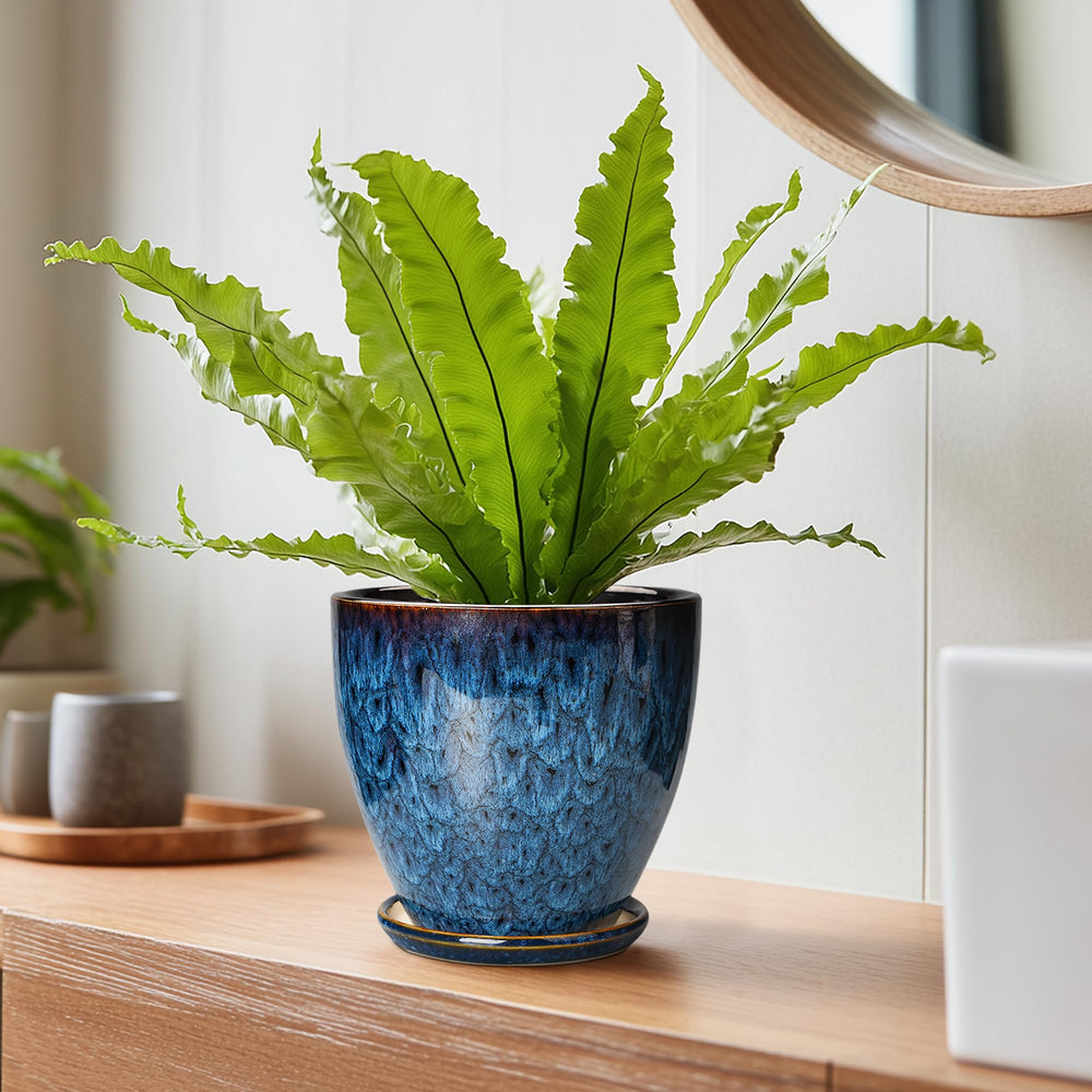 Close-up of EPFamily Ceramic Pot's blue-glaze finish