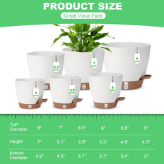 Close-up of Ezmixcoop self watering pot with visual water level