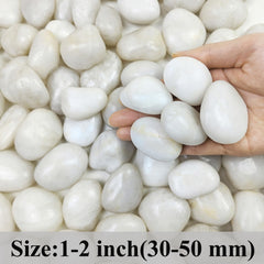Close-up of FANTIAN white pebbles showing smooth texture