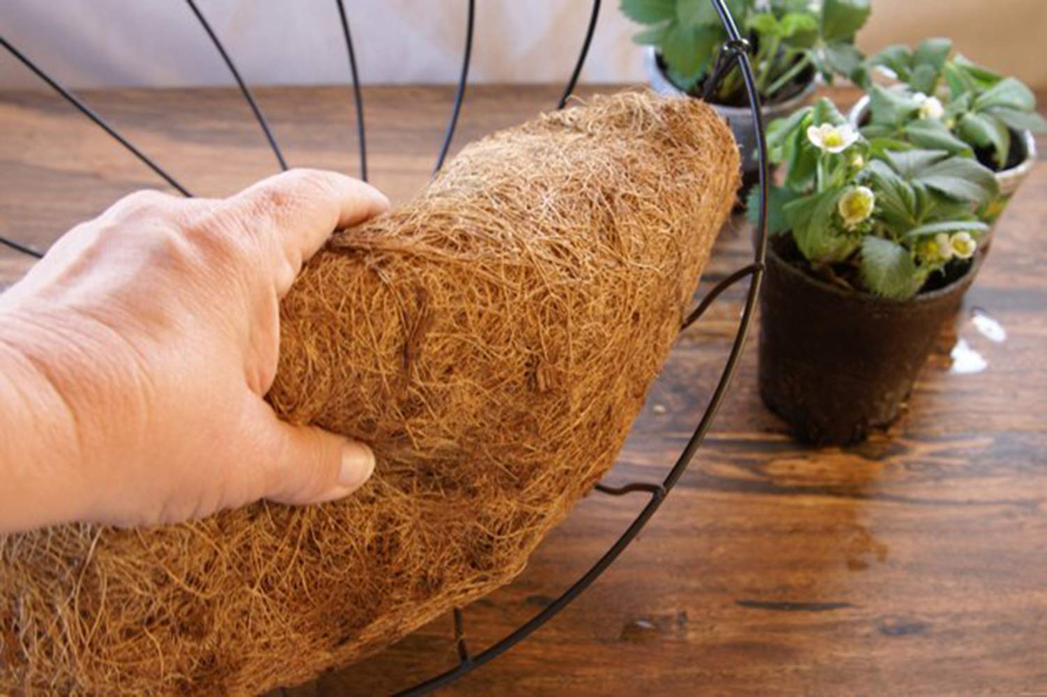 Close-up of FDGARDEN coconut liner showing texture