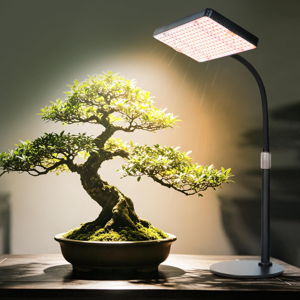 Close-up of FECiDA Bonsai Grow Light's adjustable height feature