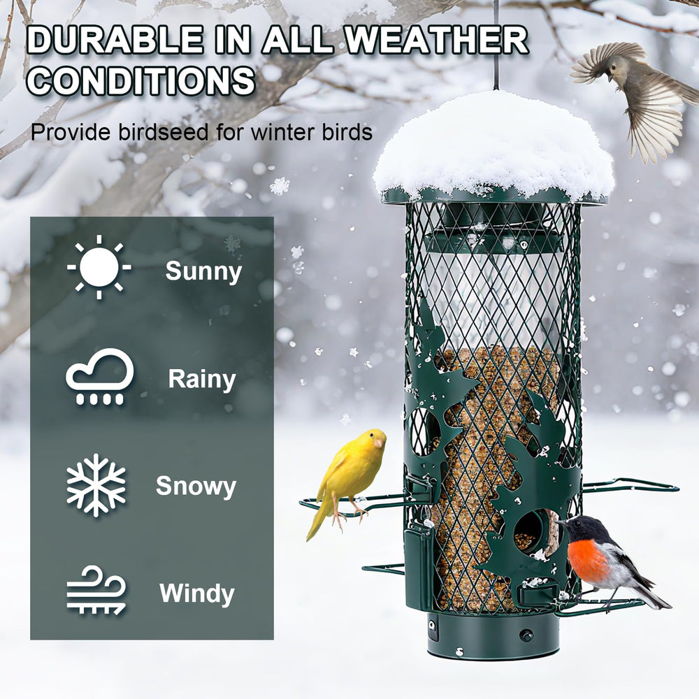 Close-up of feeding port on Gbekery Bird Feeder