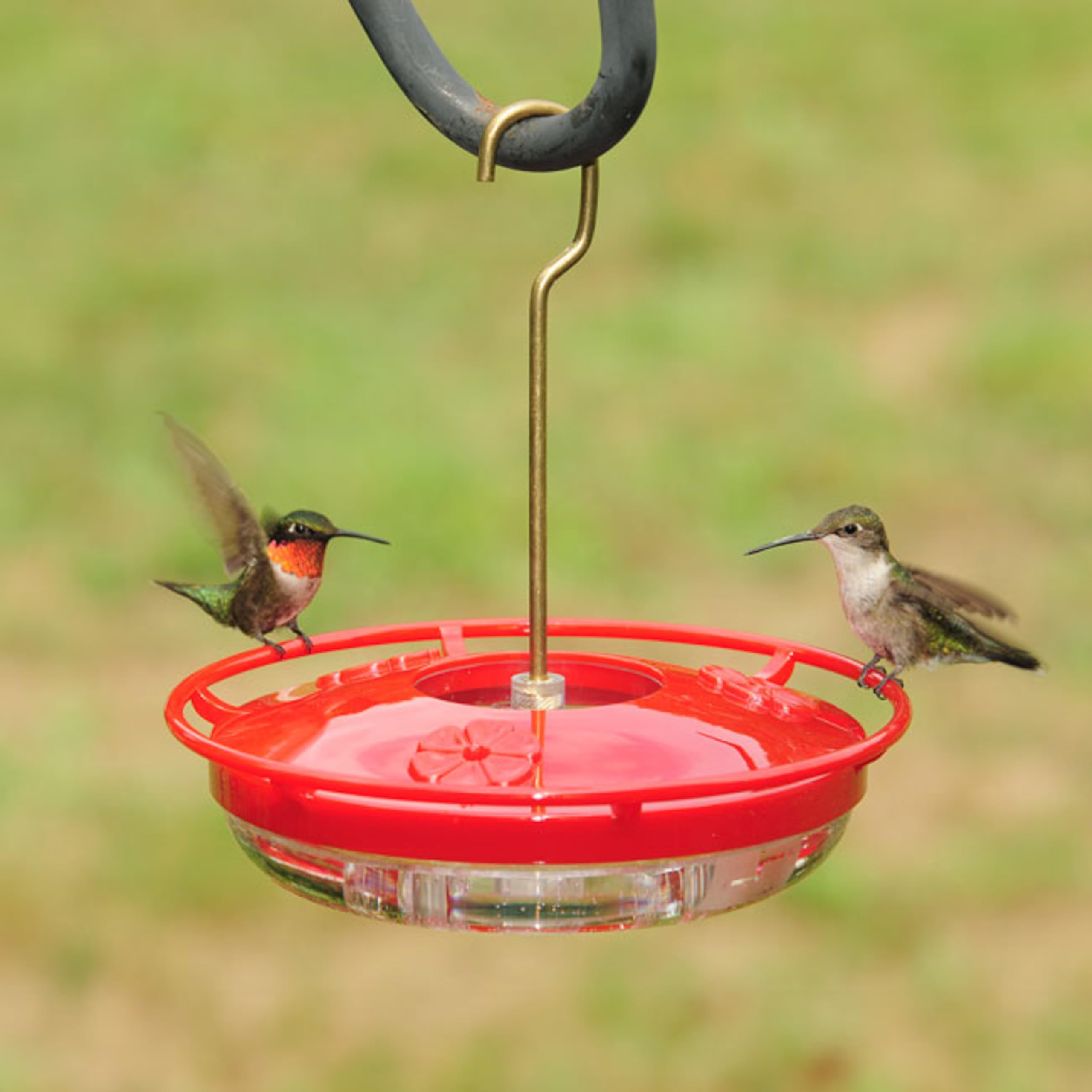 Close-up of feeding ports on Aspects Hummzinger Mini Hummingbird Feeder