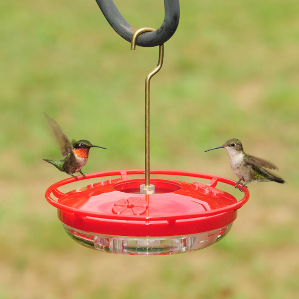 Close-up of feeding ports on Aspects Hummzinger Mini Hummingbird Feeder