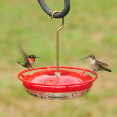 Close-up of feeding ports on Aspects Hummzinger Mini Hummingbird Feeder