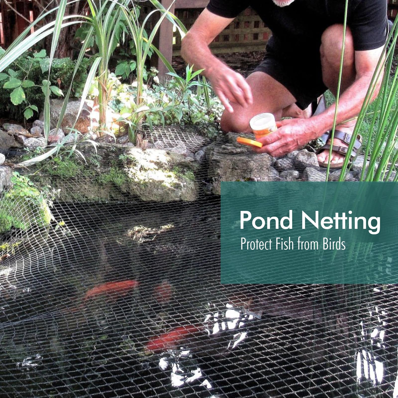 Close-up of Fetanten Bird Netting woven mesh structure
