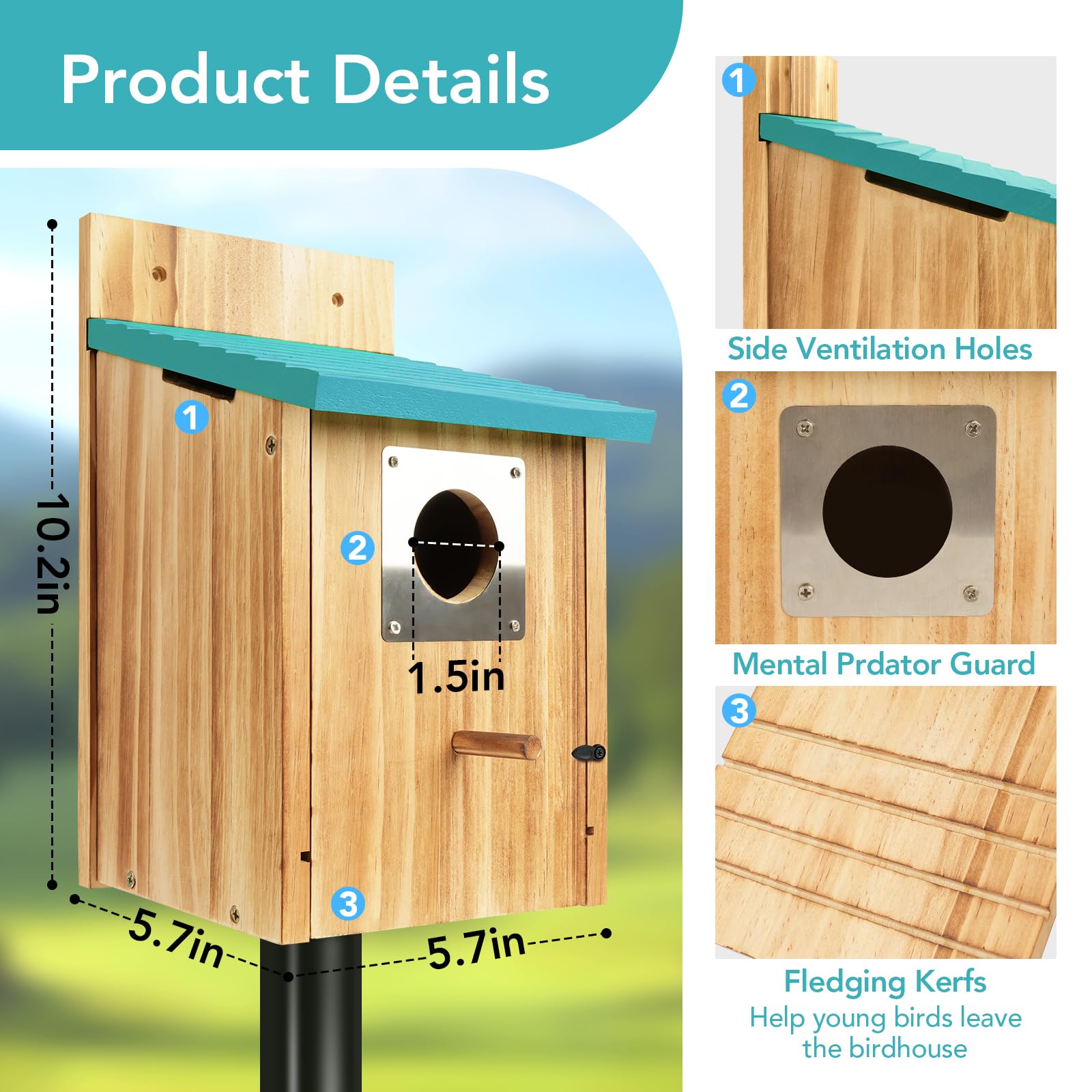 Close-up of Fitraho bird house entrance for small birds