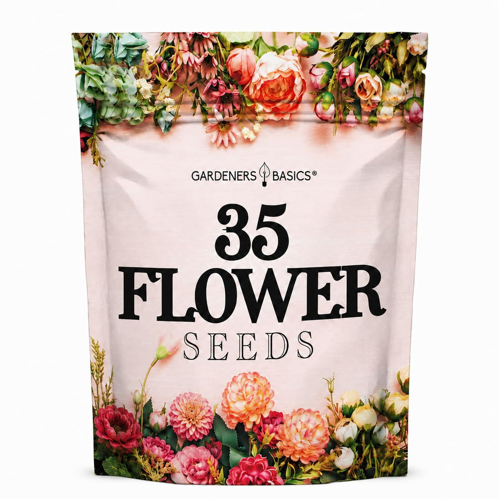 Close-up of flower seeds in packaging
