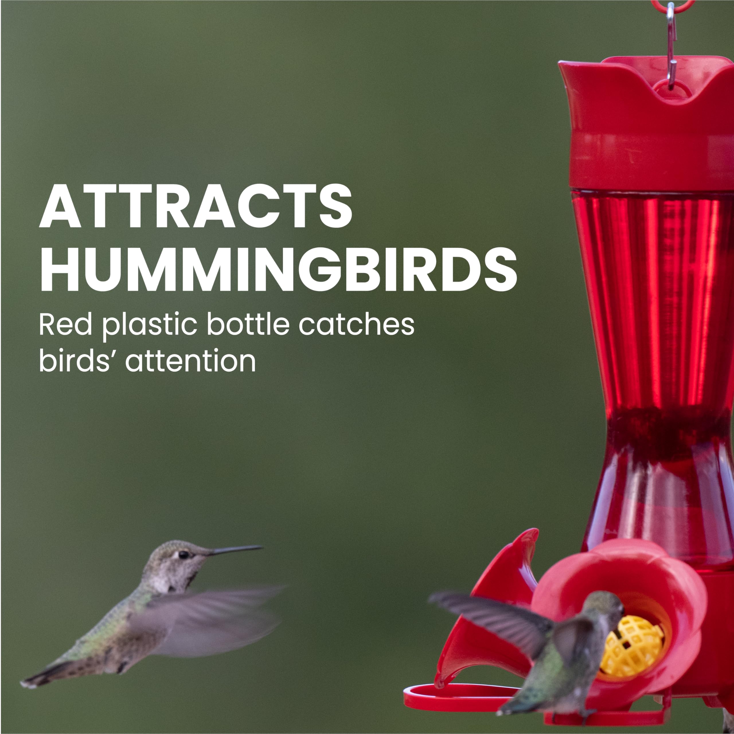 Close-up of flower-shaped feeding ports on Perky-Pet Hummingbird Feeder