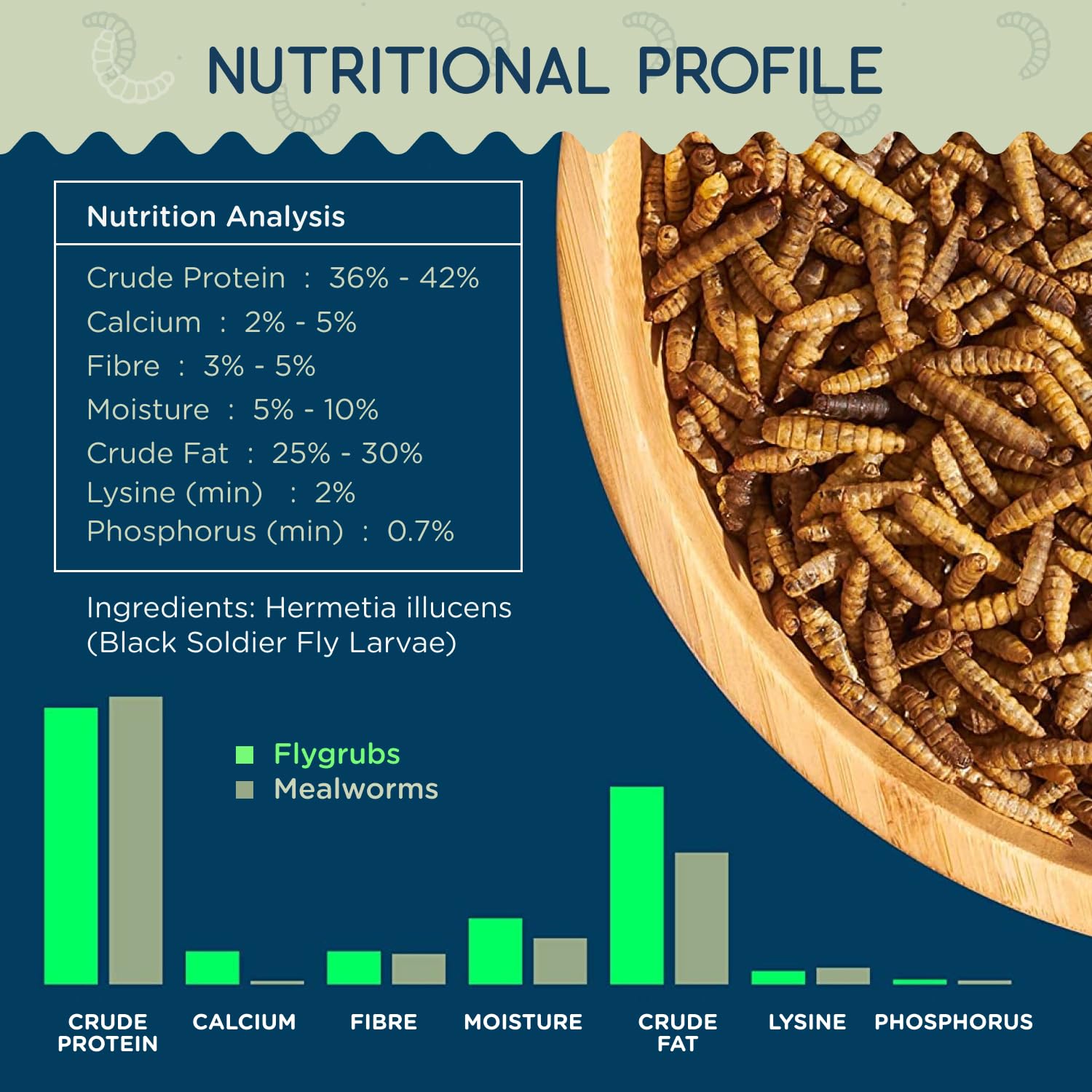 Close-up of FLYGRUBS dried black soldier fly larvae