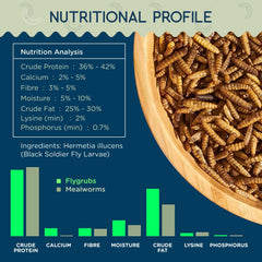 Close-up of FLYGRUBS dried black soldier fly larvae
