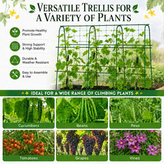 Close-up of FOLLOOK Cucumber Trellis netting support