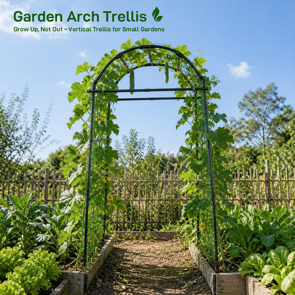 Close-up of FOLLOOK Garden Arch Trellis structure