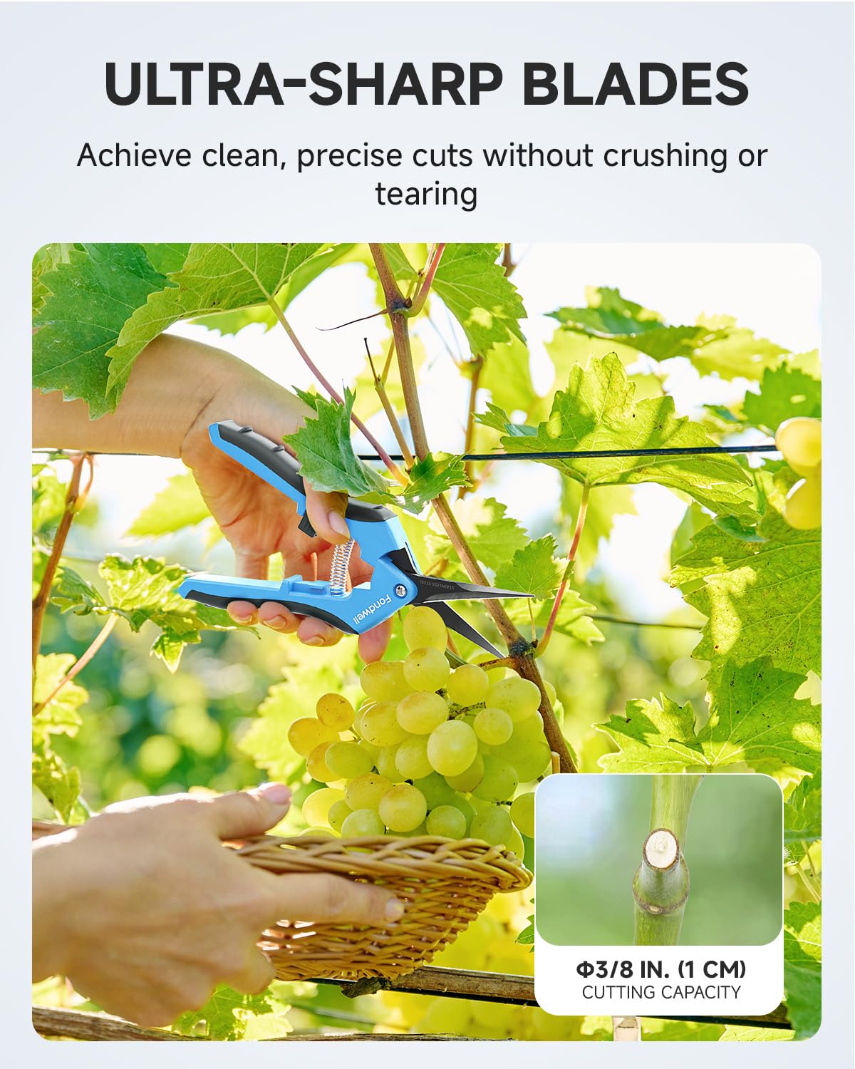 Close-up of Fondwell pruning shears micro-tip stainless steel blades