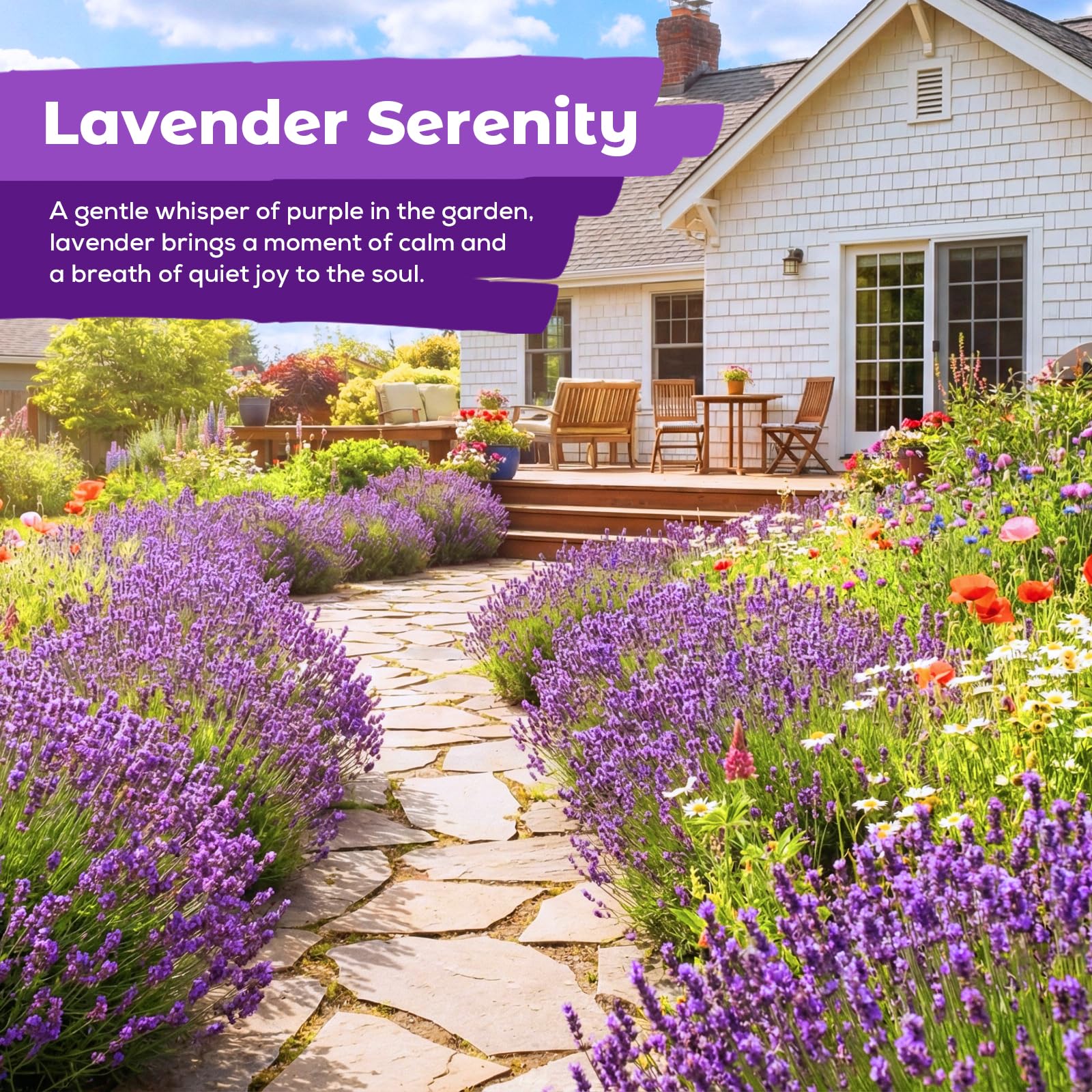 Close-up of Fruivity Lavender Seeds with soil and planting instructions