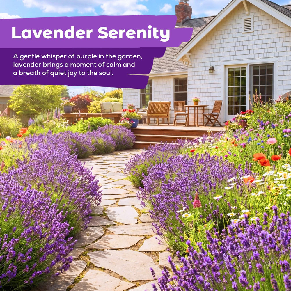 Close-up of Fruivity Lavender Seeds with soil and planting instructions