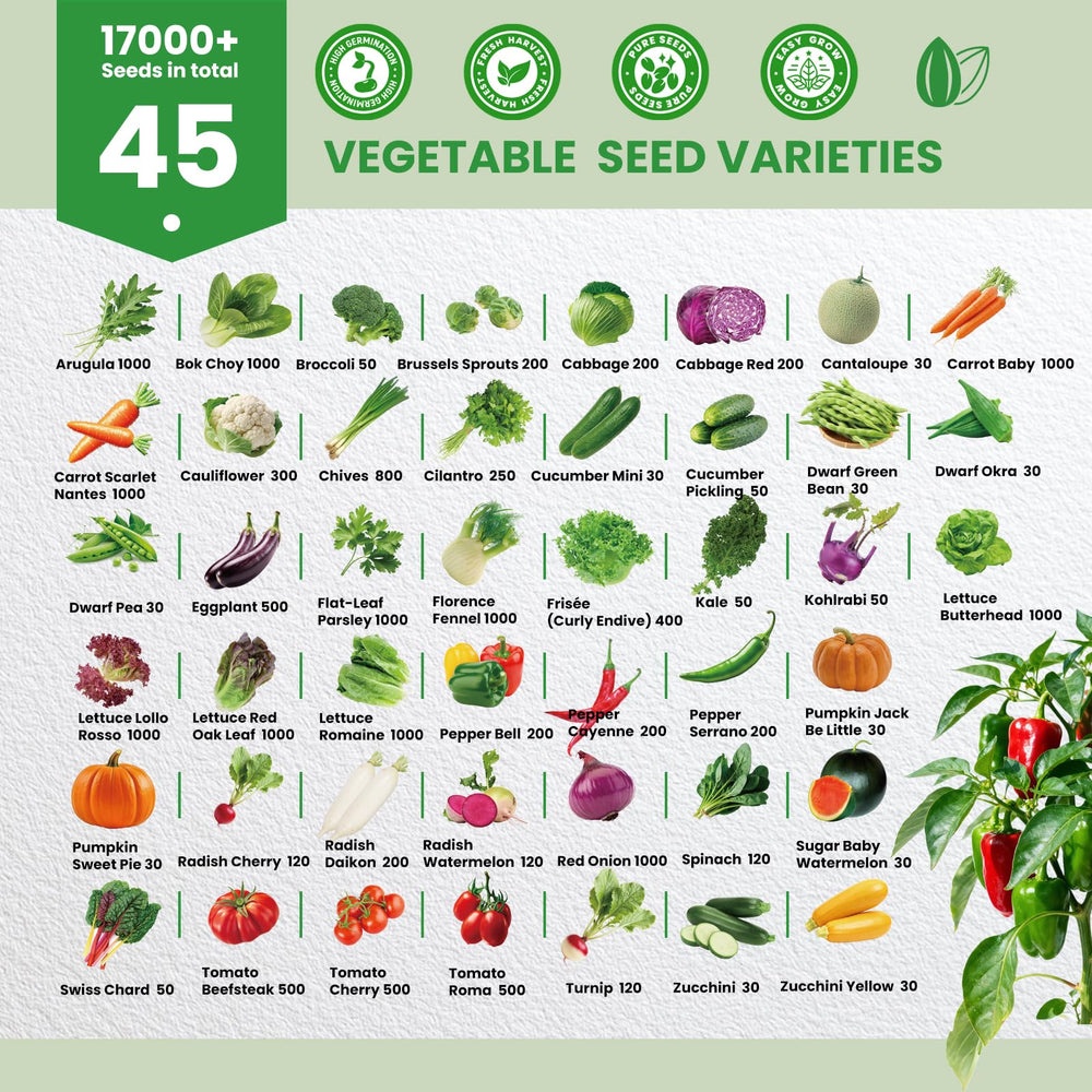 Close-up of Fruivity vegetable seed packets