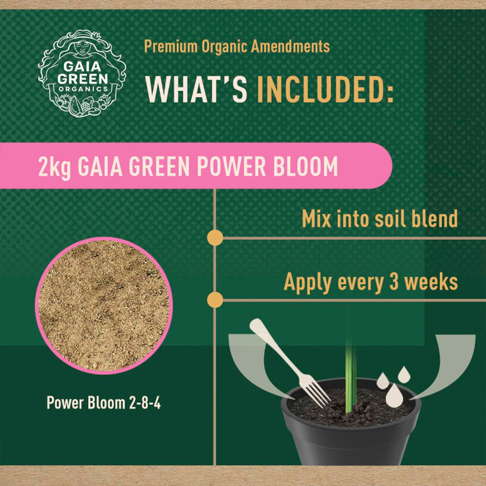Close-up of Gaia Green Power Bloom Organic Fertilizer powder texture