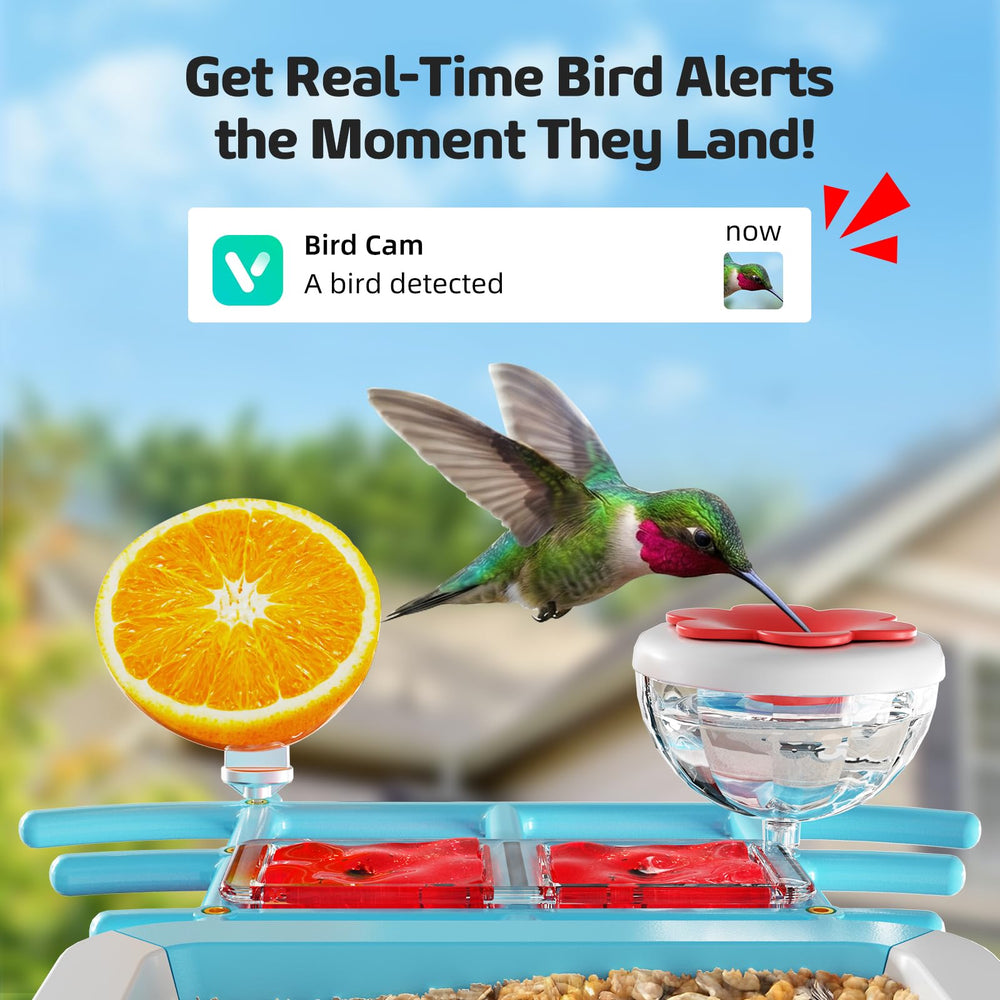 Close-up of GAOYITK Bird Feeder camera lens