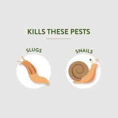 Close-up of Garden Safe Slug & Snail Bait Granules