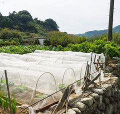 Close-up of Garden Tailor Garden Netting showing 40 mesh detail
