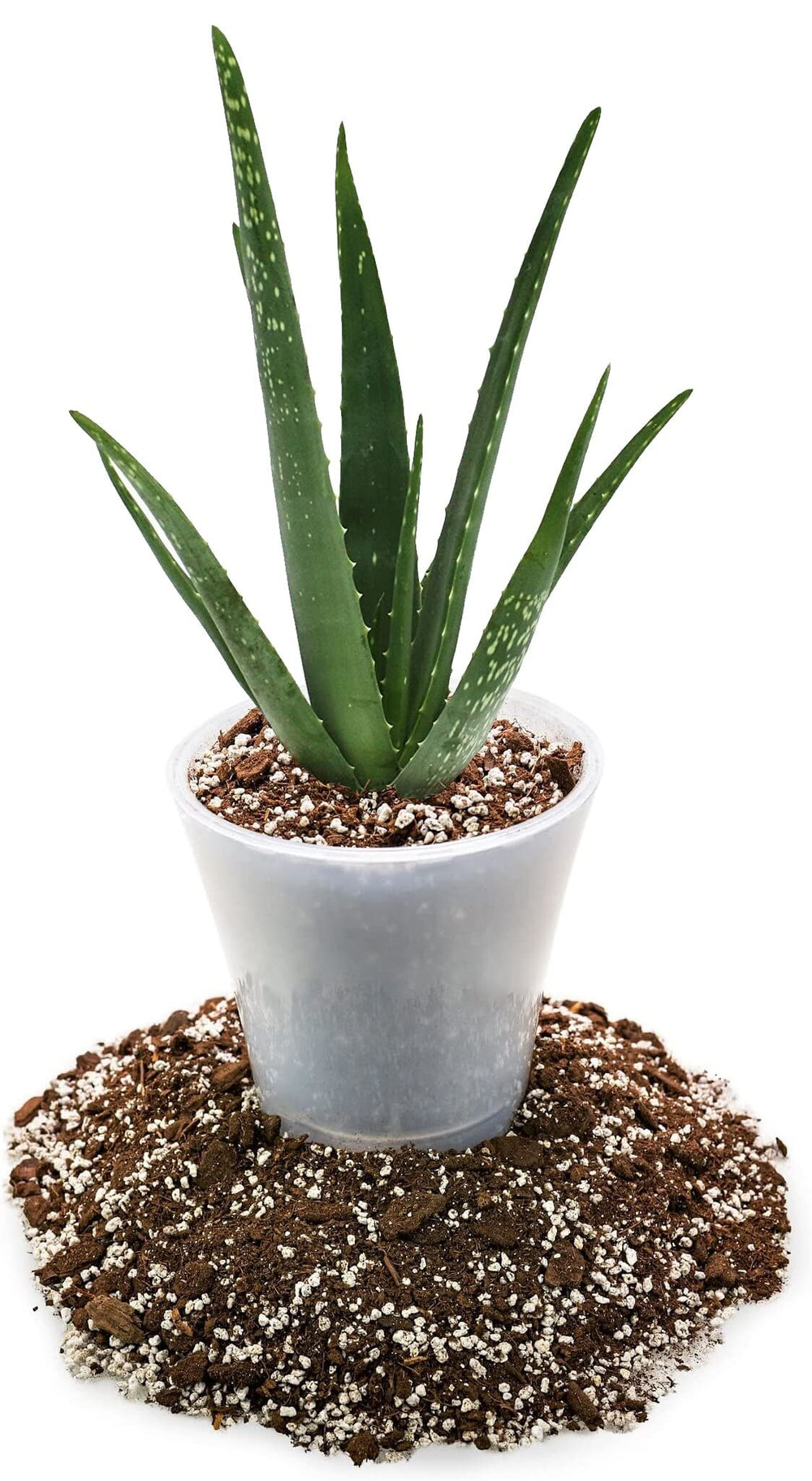 Close-up of Gardenera Aloe Vera Potting Soil ingredients