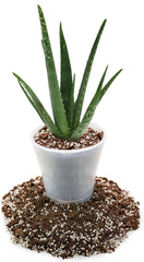 Close-up of Gardenera Aloe Vera Potting Soil ingredients