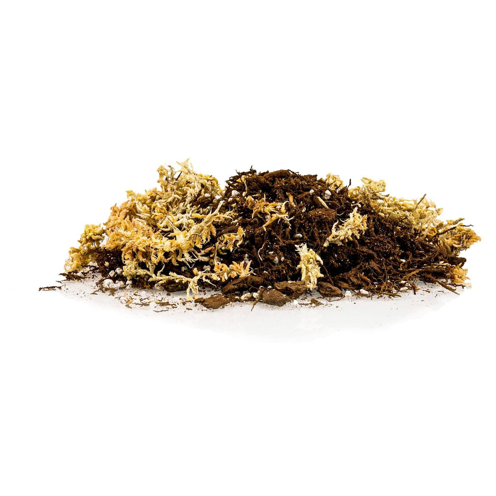 Close-up of Gardenera orchid mix ingredients including fern and bark