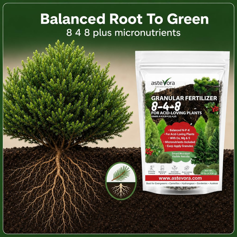 Close-up of GARDENWISE Evergreen Fertilizer granules