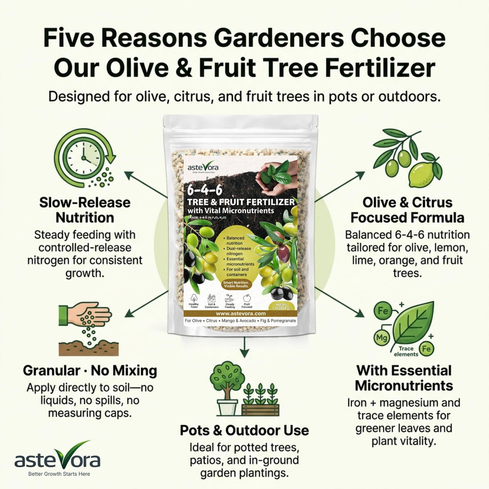 Close-up of GARDENWISE Olive Tree Fertilizer granules