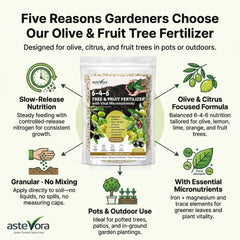 Close-up of GARDENWISE Olive Tree Fertilizer granules