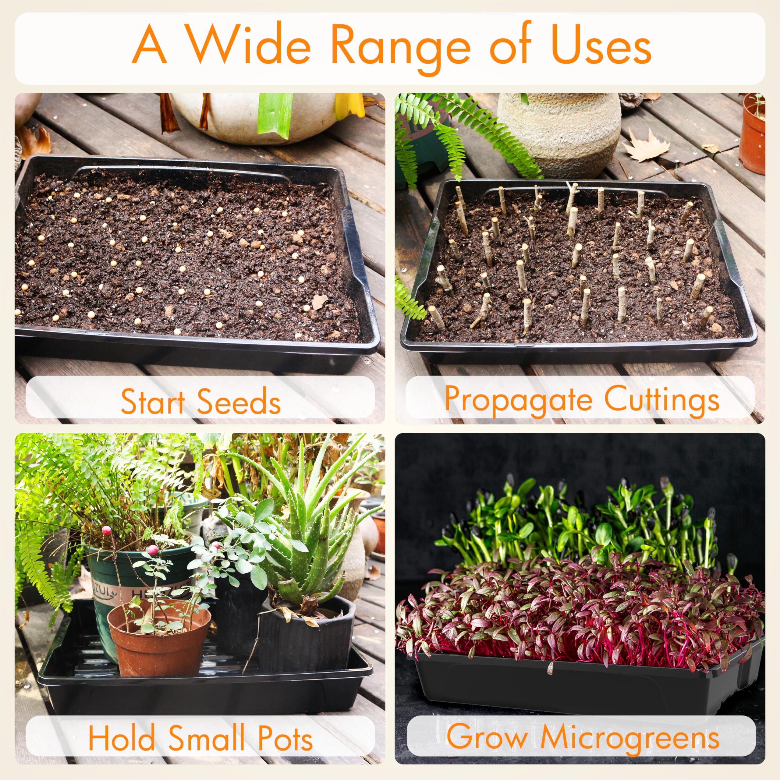 Close-up of Gardzen reusable seed trays