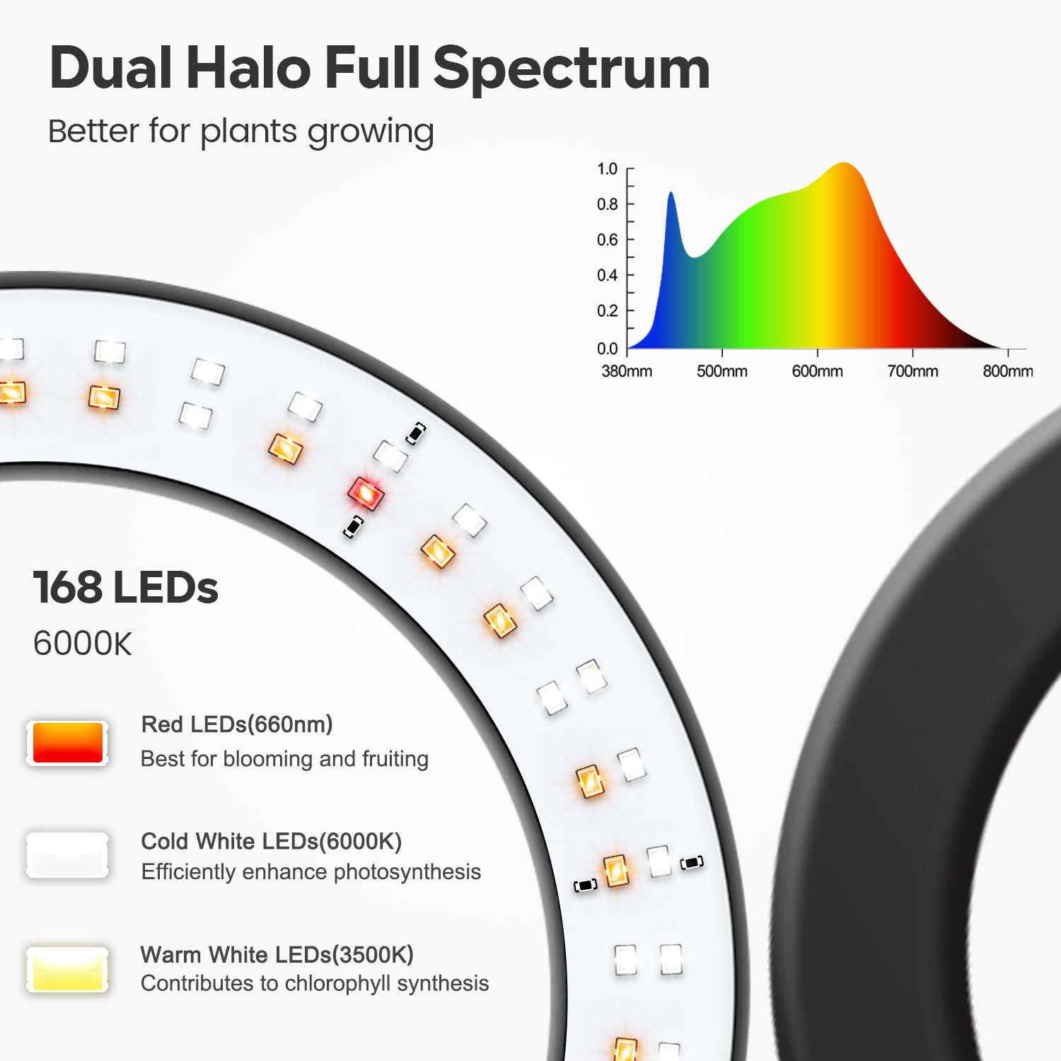 Close-up of Garpsen Halo Grow Light with translucent ring shade