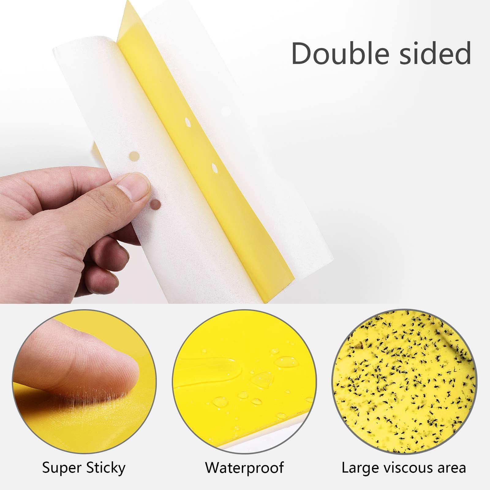 Close-up of Garutom yellow sticky traps