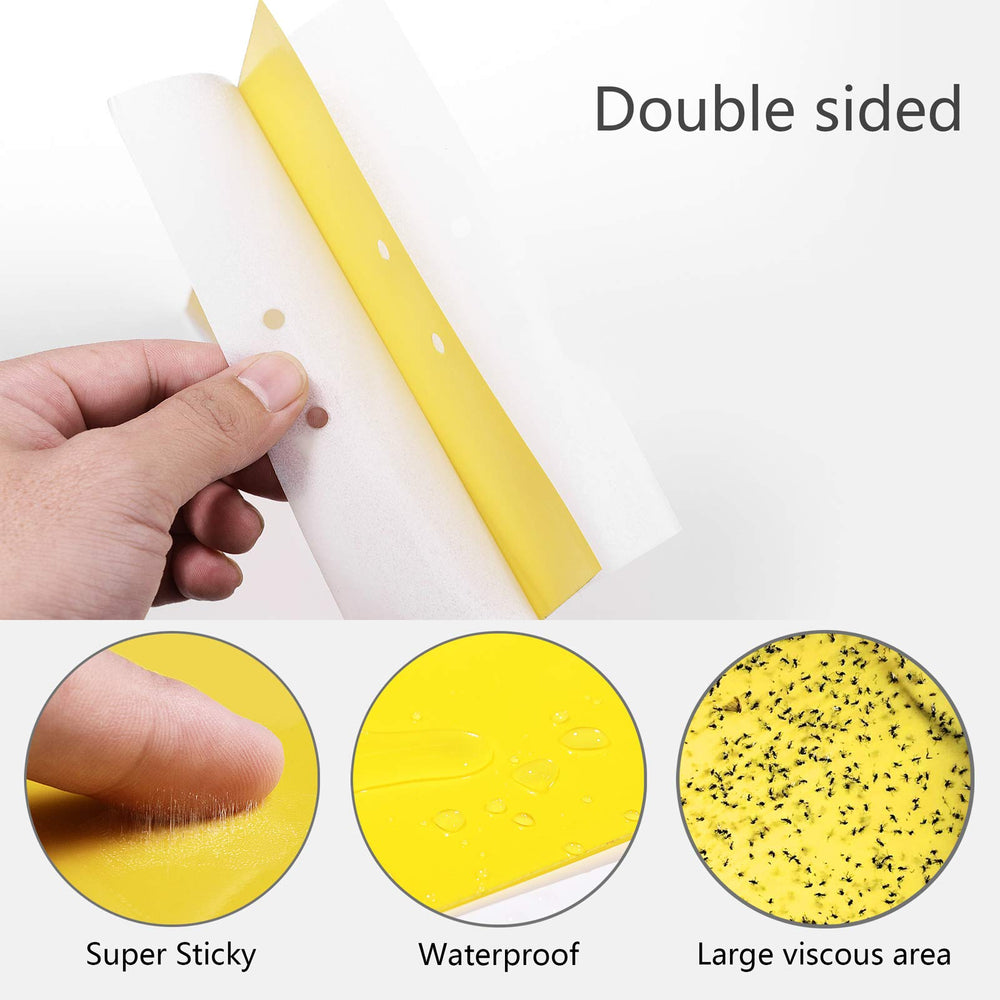 Close-up of Garutom yellow sticky traps
