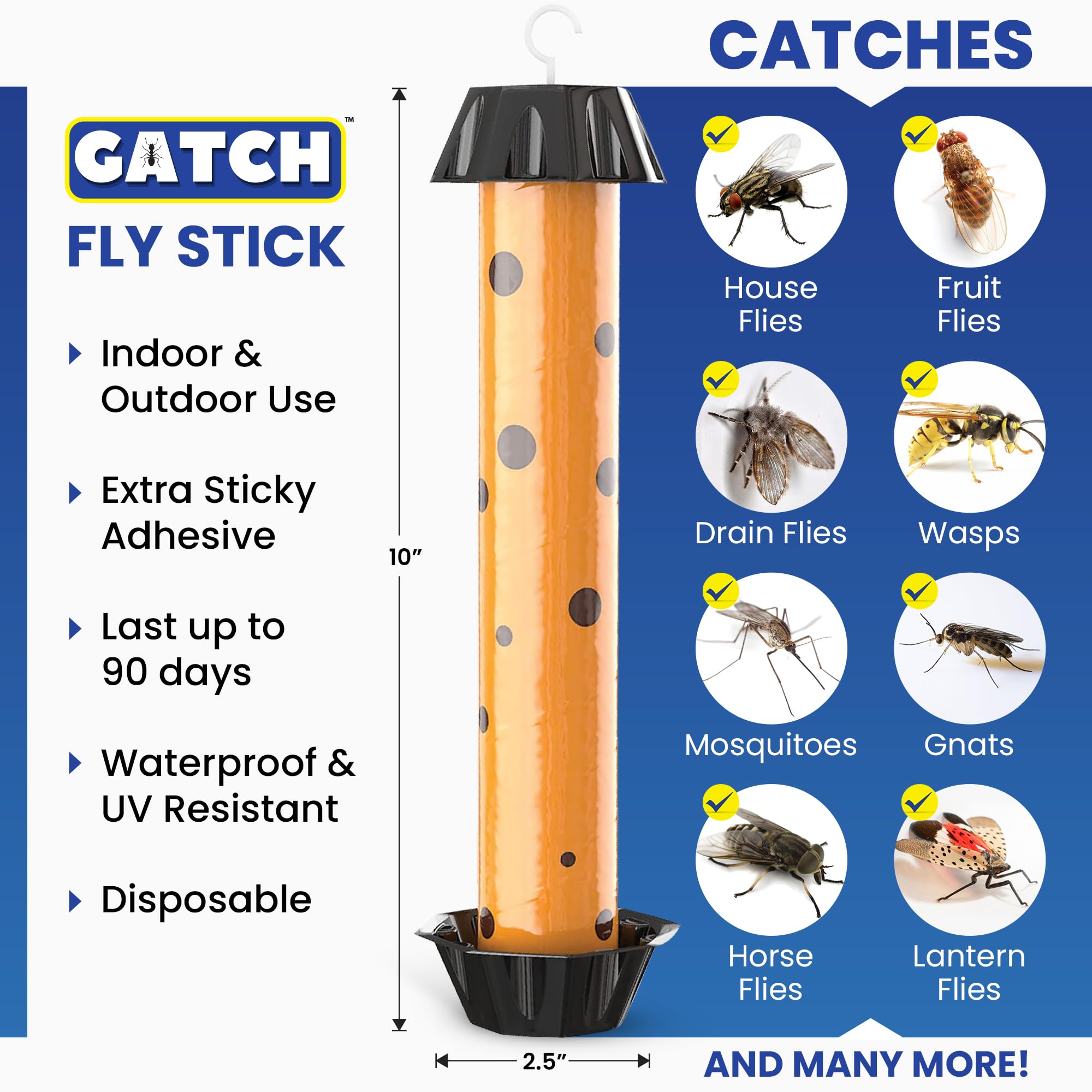 Close-up of GATCH Fly Stick Trap showing adhesive surface